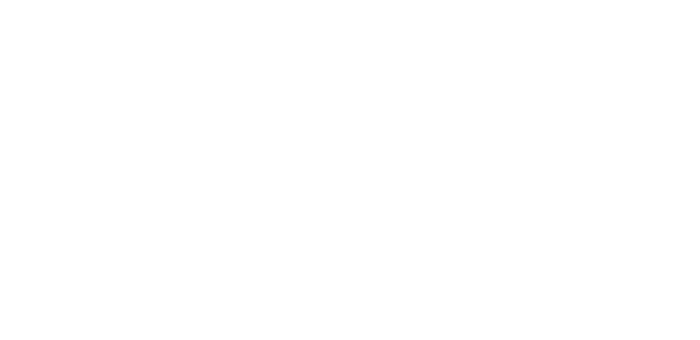 ALTA VISIONARIES