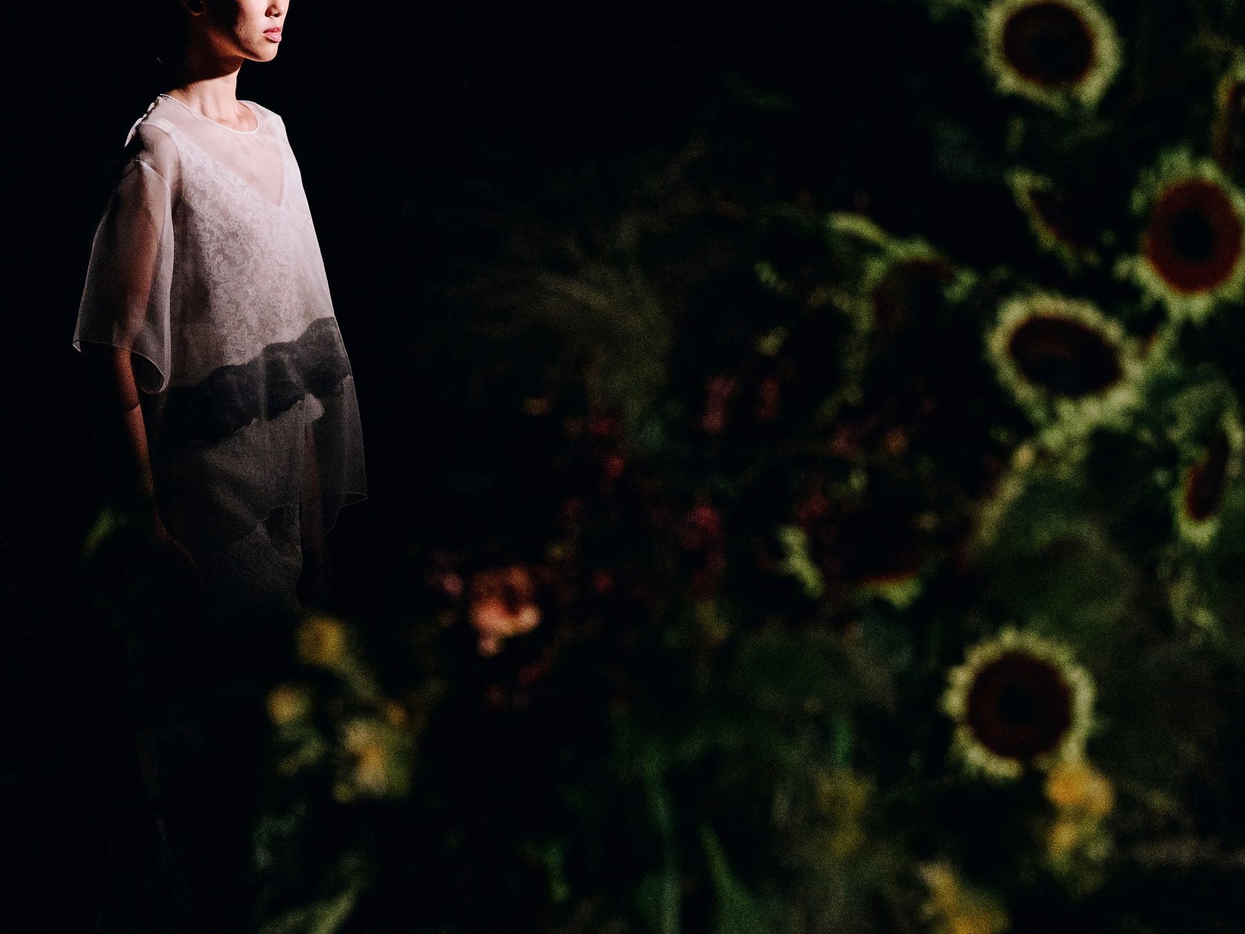 Jason Wu Spring/Summer 2027 presentation in New York, figures in low light — image 02