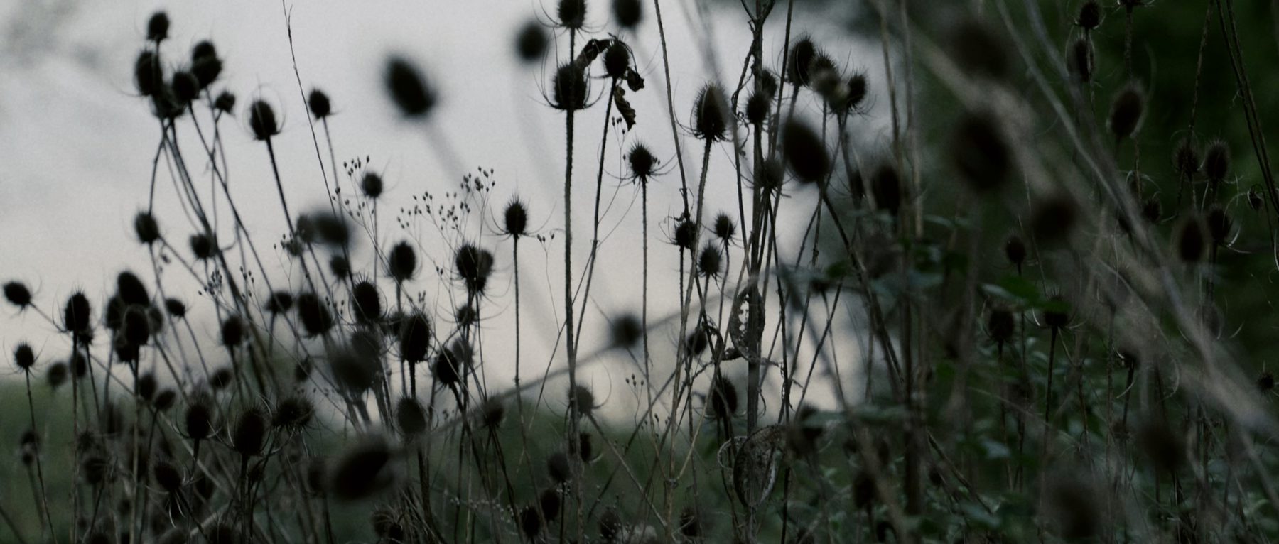 No Color Shots showreel, landscapes, cities and water — image 02