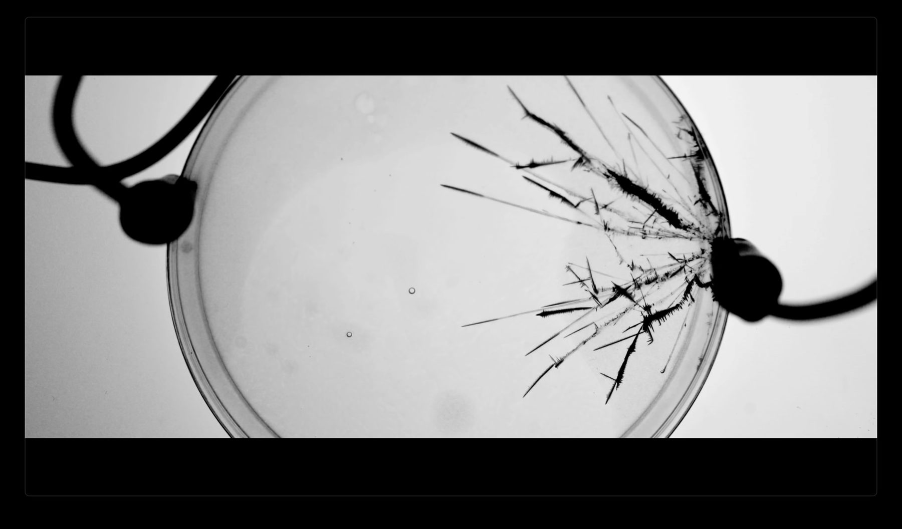 SoundMAT material study, crystal dendrites growing at macro scale — image 02