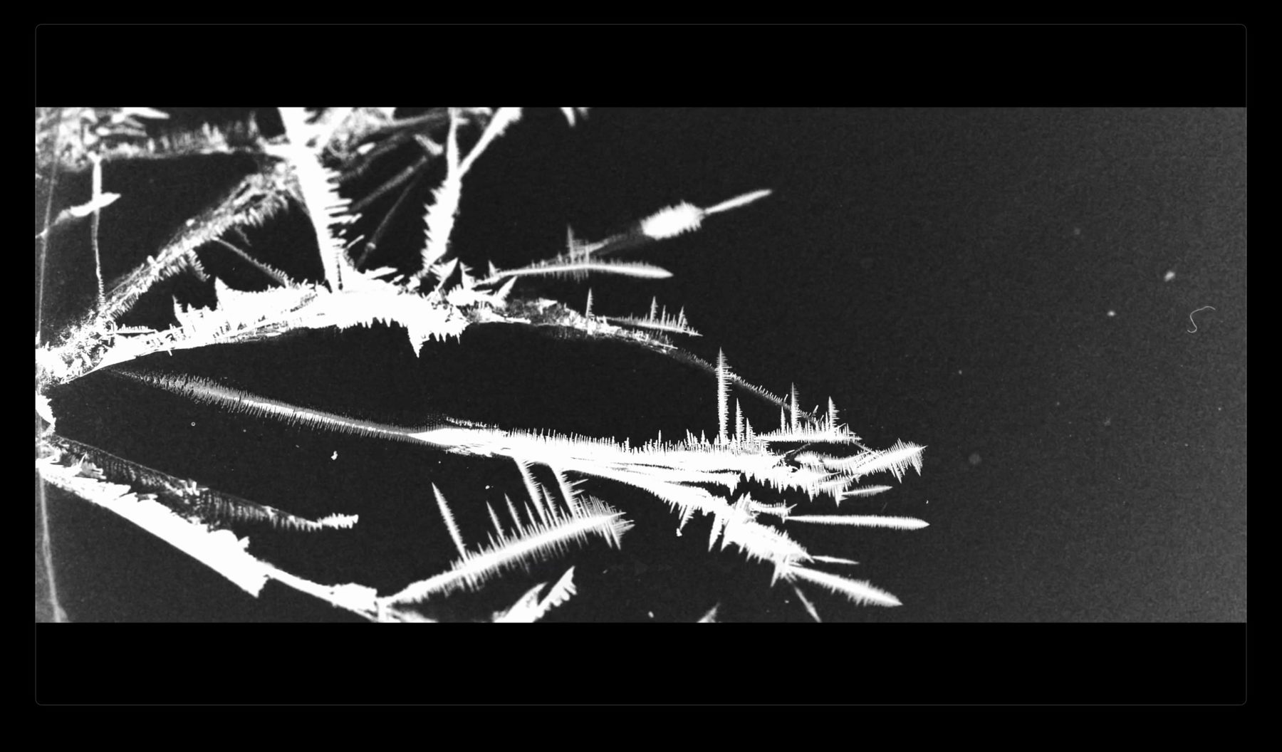SoundMAT material study, crystal dendrites growing at macro scale — image 03